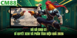 Đá Gà Chọi C1 - Bí Quyết Xem Và Phân Tích Hiệu Quả 2026