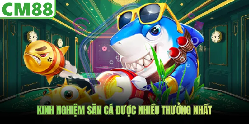 Kinh nghiệm săn cá được nhiều thưởng nhất